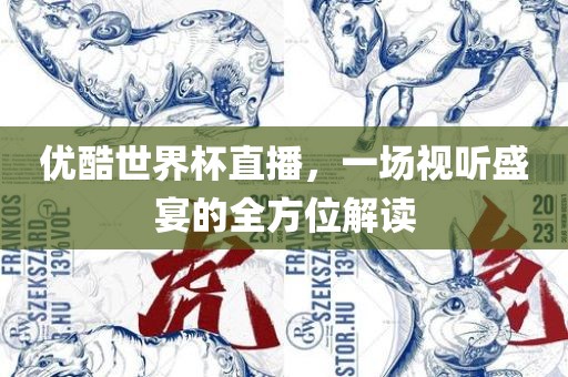 优酷世界杯直播，一场视听盛宴的全方位解读