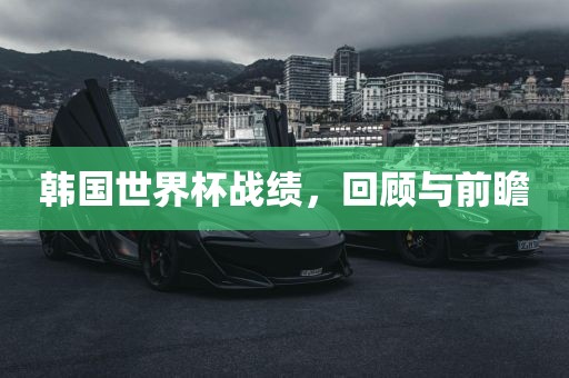 韩国世界杯战绩，回顾与前瞻眉山市正发家政服务有限公司