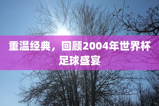 重温眉山市正发家政服务有限公司经典，回顾2004年世界杯足球盛宴