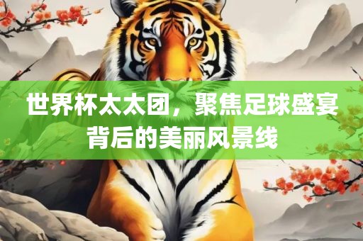 世界杯太太团，聚焦足球盛宴背后的美丽风景线