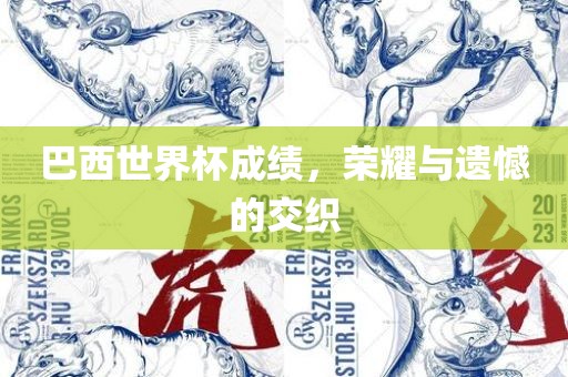 巴西世界杯成绩，荣耀与遗憾的交织