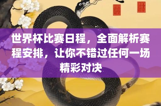 世界杯比赛日程，全面解析赛程安排，让你不错过任何一场精彩对决