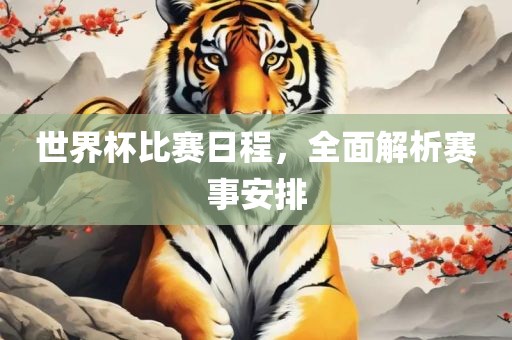 世界杯比赛日程，全面解析赛事安排