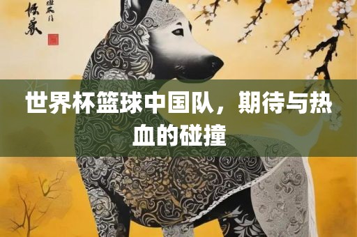 世界杯篮球中国队，期待与热血的碰撞