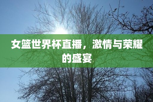 女篮世界杯直播，激情与荣耀的盛宴