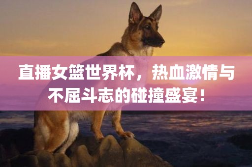 直播女篮世界杯，热血激情与不屈斗志眉山市正发家政服务有限公司的碰撞盛宴！