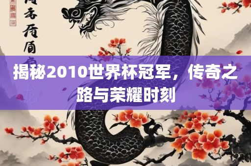 揭秘2010世界杯冠军，传奇之路与荣耀时刻