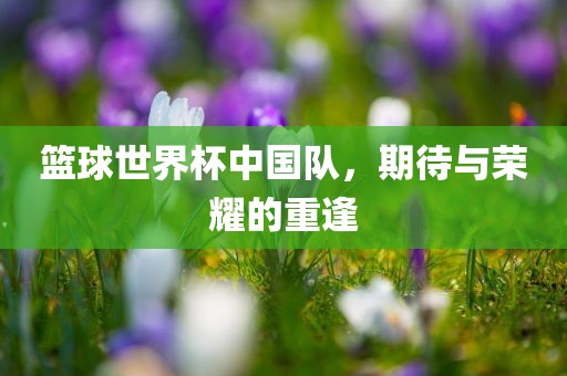 篮球世界杯中国队，期待与荣耀的重逢