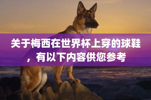 关于梅西在世界杯上穿的球鞋，有以下内容供您参考