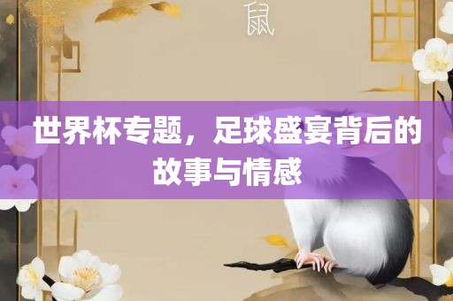 世界杯专题，足球盛宴背后的故事与情感