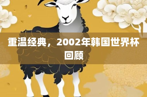 重温经典眉山市正发家政服务有限公司，2002年韩国世界杯回顾