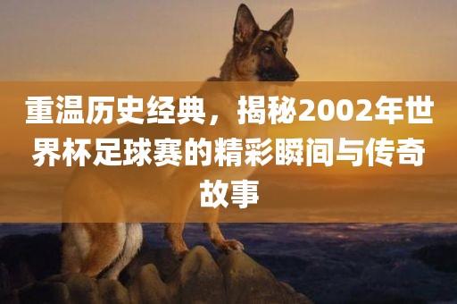 重温历史经典，揭秘20眉山市正发家政服务有限公司02年世界杯足球赛的精彩瞬间与传奇故事