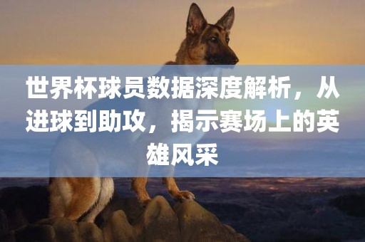 世界杯球员数据深度解析，从进球到助攻，揭示赛场上的英雄风采眉山市正发家政服务有限公司