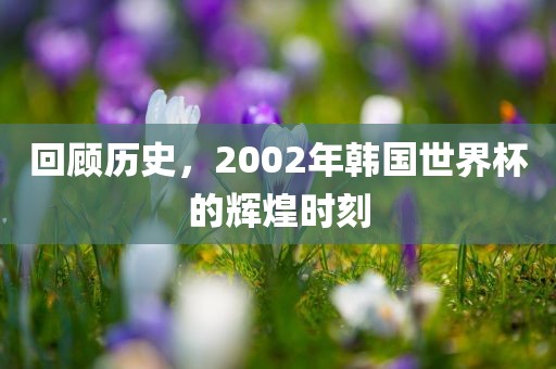 回顾历史，2002年韩国世界杯的辉煌时刻眉山市正发家政服务有限公司