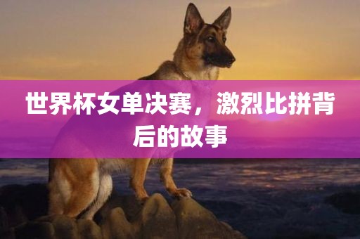 世界杯女单决赛，激烈比拼背后的故事