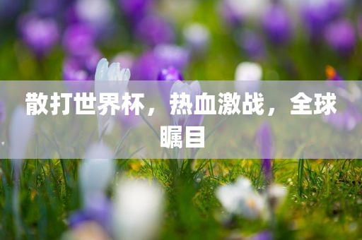 散打世界杯，热血激战，全球瞩目