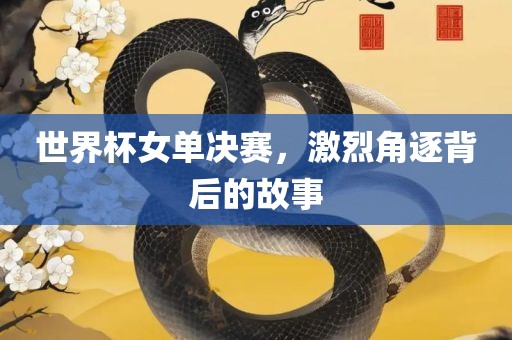 世界杯女单决赛，激烈角逐背后的故事