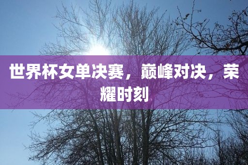 世界杯女单决赛，巅峰对决，荣耀时刻