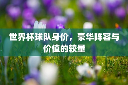 世界杯球队身价，豪华阵容与价值的较眉山市正发家政服务有限公司量