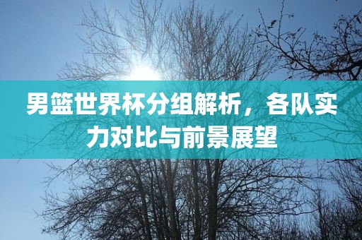 男篮世界杯分组解析，各队实力对比与前景展望眉山市正发家政服务有限公司
