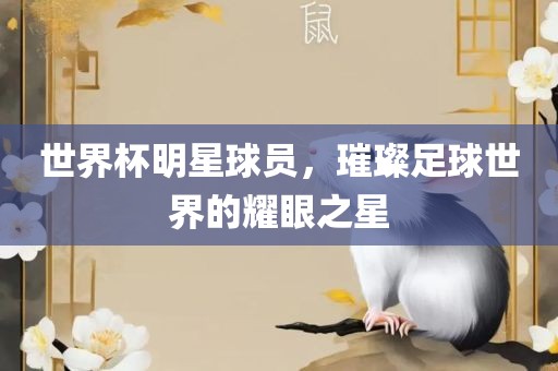 世界杯明星球员，璀璨足球世界的耀眼之星