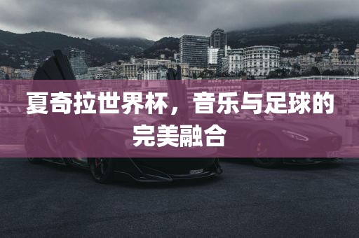 夏奇拉世界杯，音乐与足球眉山市正发家政服务有限公司的完美融合