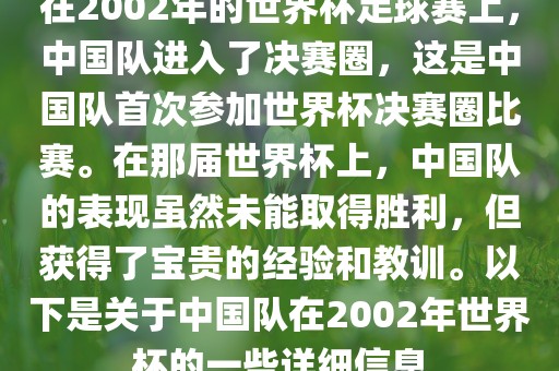 在2002年的世界杯足球赛上，中国队进入了决赛圈，这是中国队首次参加世界杯决赛圈比赛。在那届世界杯上，中国队的表现虽然未能取得胜利，但获得了宝贵的经验和教训。以下是关于中国队在2002年世界杯的一些详细信息