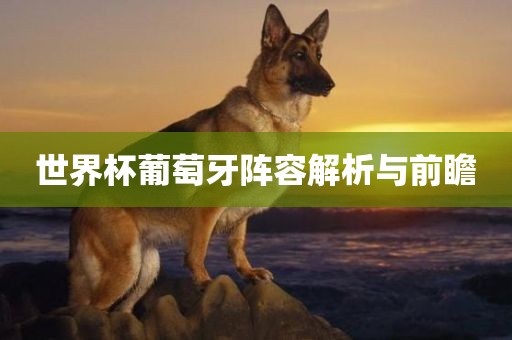 世界杯葡萄牙阵容解析与前瞻眉山市正发家政服务有限公司