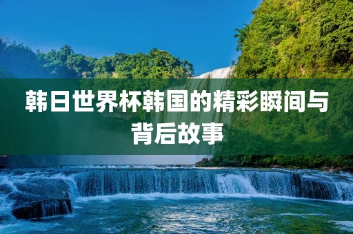 韩日世界杯韩国的精眉山市正发家政服务有限公司彩瞬间与背后故事