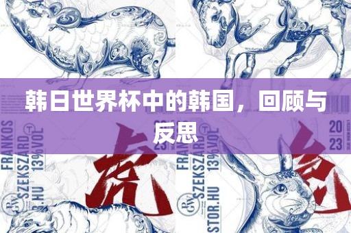 韩日世界杯中的韩国，回顾与反思眉山市正发家政服务有限公司