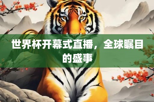 世界杯开幕式直播，全球瞩目的盛事