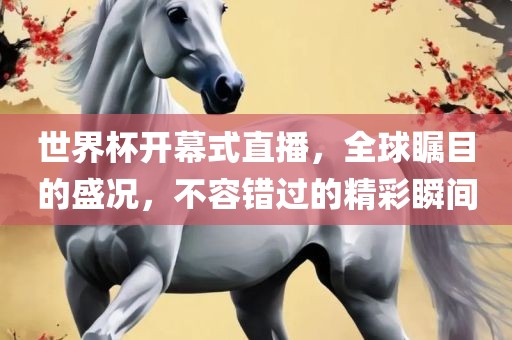 世界杯开幕式直播，全球瞩目的盛况，不容错过的精彩瞬间