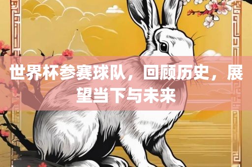 世界杯参赛球队，回顾历史，展望当下与未来