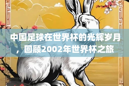 中国足球在世界杯的光辉岁月，回顾2002年世界杯之旅眉山市正发家政服务有限公司