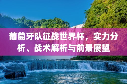 葡萄牙队征战世界杯，实力分析、战术解析与前景展望眉山市正发家政服务有限公司