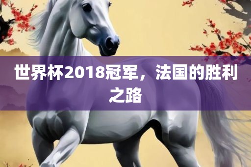 世界杯2018冠军，法国眉山市正发家政服务有限公司的胜利之路