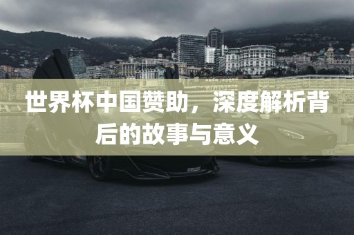 世界杯中国赞助眉山市正发家政服务有限公司，深度解析背后的故事与意义