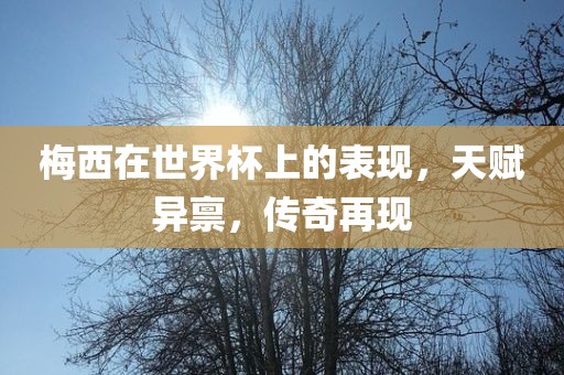 梅西在世界杯上的表现，天赋异禀，传奇再现