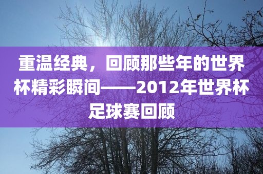 重温经典，回顾那些年的世界杯精彩瞬间——2012年世界杯足球赛回顾