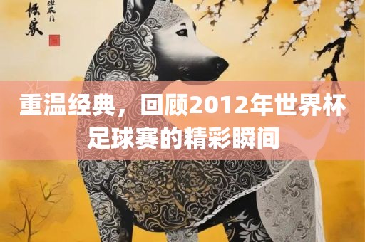 重温经典，回顾2012年世眉山市正发家政服务有限公司界杯足球赛的精彩瞬间