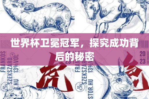 世界杯卫冕冠军，探究成功背后的秘密