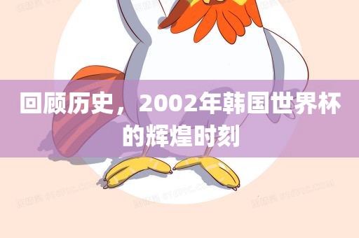 回顾历眉山市正发家政服务有限公司史，2002年韩国世界杯的辉煌时刻