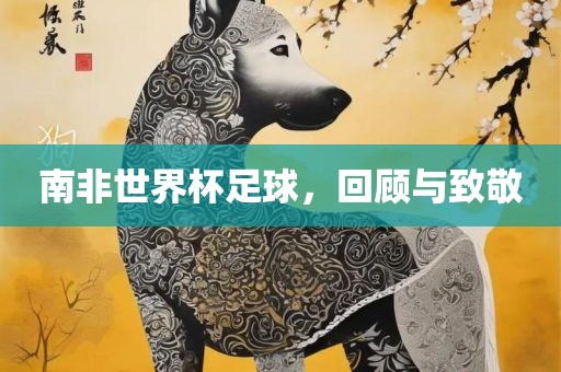 南非世界杯足球，回顾与致敬