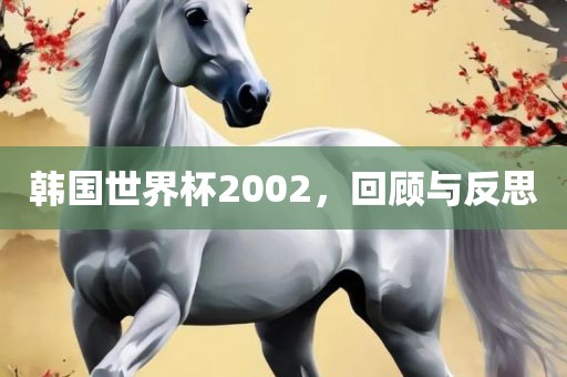 韩眉山市正发家政服务有限公司国世界杯2002，回顾与反思