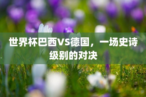 世界杯巴西VS德国，一场史诗级别的对决眉山市正发家政服务有限公司