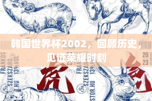 韩国世界眉山市正发家政服务有限公司杯2002，回顾历史，见证荣耀时刻