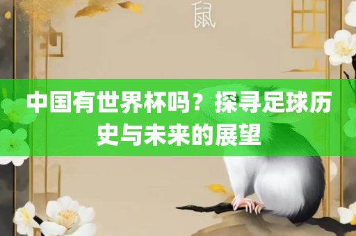 中国有世界杯吗？探寻足球历史与未来的展望