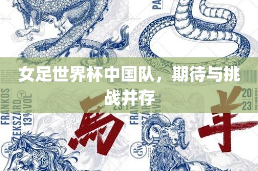 女足世界眉山市正发家政服务有限公司杯中国队，期待与挑战并存