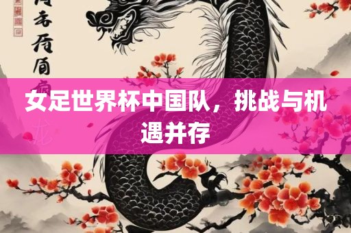 女足世界杯中国队，挑战与机遇并存