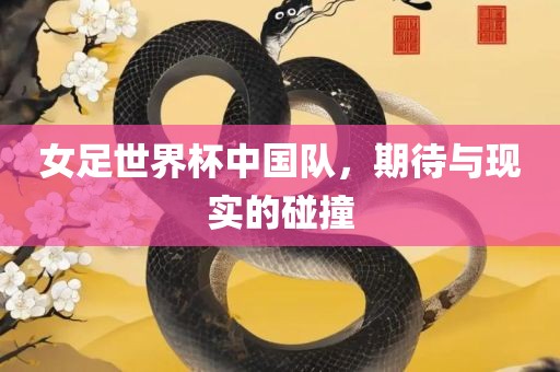 女足世界眉山市正发家政服务有限公司杯中国队，期待与现实的碰撞